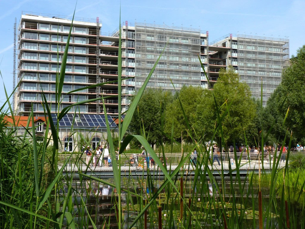 Parc 17, Dimanche 14 juin 2015