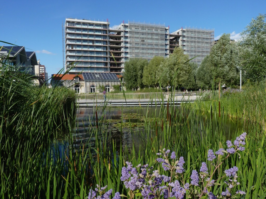 Parc 17, 19 juin 2015