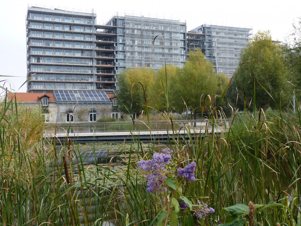 Parc 17, 17 octobre 15