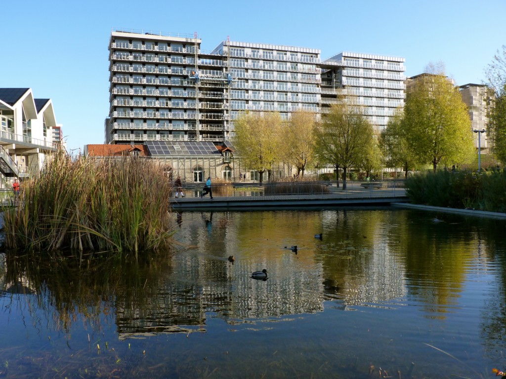 Parc 17, 28 novembre 2015