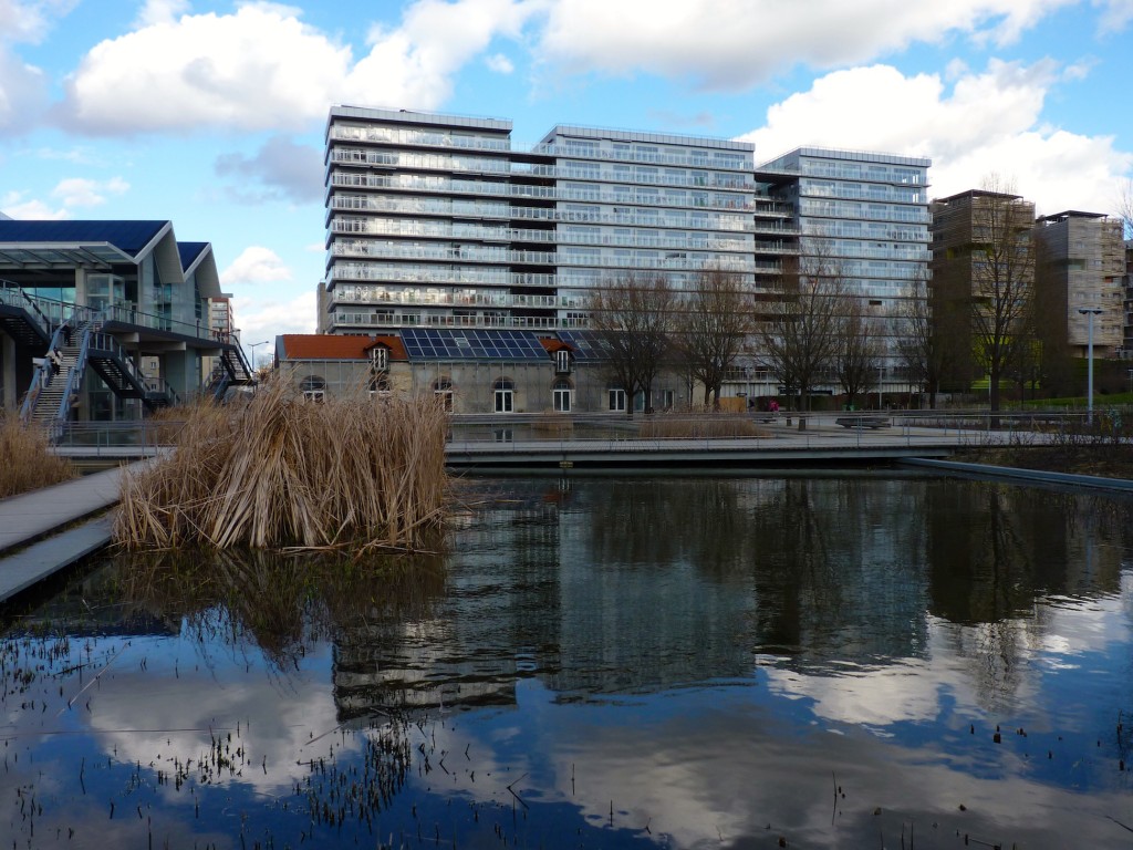 Parc 17 du coeur du Parc Martin Luther King